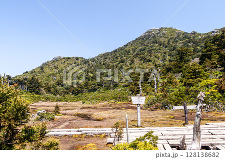 高層湿原花之江河と黒味岳　世界自然遺産屋久島(春 128138682