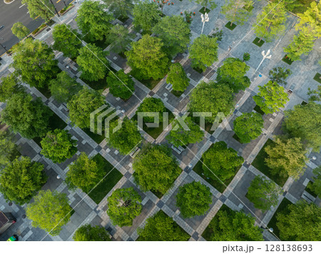 Aerial view of beautiful park landscape 128138693