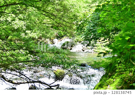蓼科大滝下流、滝の湯川の初夏の風景 128138745