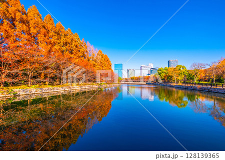 秋の大阪城公園と大阪ビジネスパーク 秋の大阪城公園と大阪ビジネスパーク 128139365