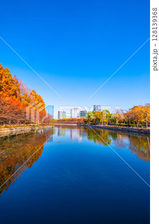 秋の大阪城公園と大阪ビジネスパーク 秋の大阪城公園と大阪ビジネスパーク 128139368