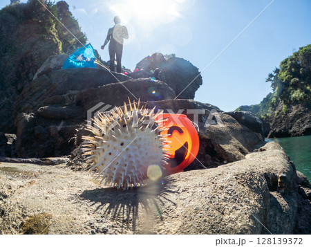 ハロウィンのかぼちゃと怒って膨らむ美しいハリセンボン ヒリゾ浜中木南伊豆町伊豆半島静岡県2024 ハロウィンのかぼちゃと怒って膨らむ美しいハリセンボン ヒリゾ浜中木南伊豆町伊豆半島静岡県2024 128139372