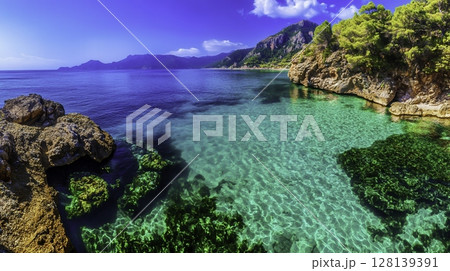 Crystal Clear Tropical Waters with Rocky Shoreline and Lush Greenery in Background Crystal Clear Tropical Waters with Rocky Shoreline and Lush Greenery in Background 128139391
