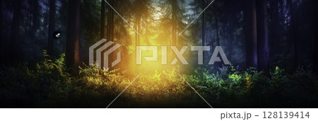 Majestic Forest Sunrise with Soft Light Filtering through Lush Greenery and Trees Majestic Forest Sunrise with Soft Light Filtering through Lush Greenery and Trees 128139414