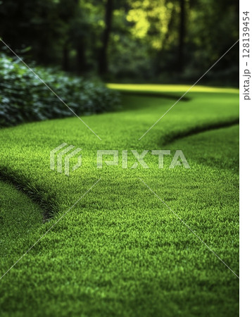 Lush Green Lawn Pathway Curving Through Vibrant Natural Landscape in Soft Light Lush Green Lawn Pathway Curving Through Vibrant Natural Landscape in Soft Light 128139454