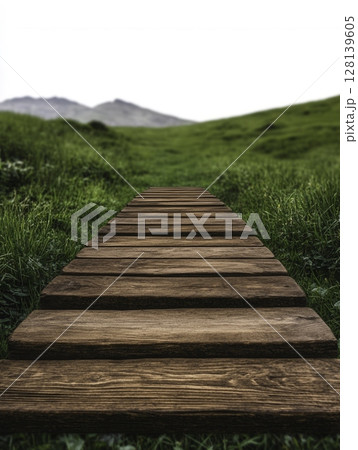 Wooden Pathway Leading Through Green Grass with Mountains in Background Wooden Pathway Leading Through Green Grass with Mountains in Background 128139605