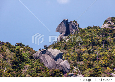 屋久島世界自然遺産 西黒味岳の奇岩群(春 屋久島世界自然遺産 西黒味岳の奇岩群(春 128139687