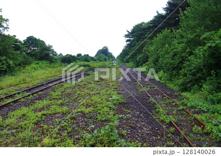 JR津軽線の終着駅 運休中で雑草が目立つ三厩駅の蟹田方面の景色(青森県外ヶ浜町) JR津軽線の終着駅 運休中で雑草が目立つ三厩駅の蟹田方面の景色(青森県外ヶ浜町) 128140026