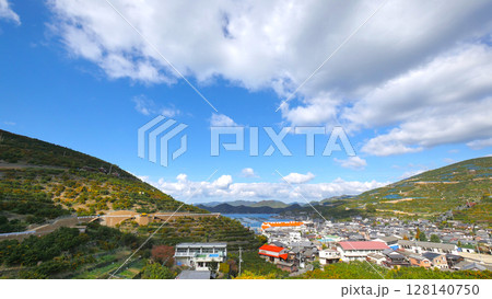 愛媛県の風景　晴れた日の八幡浜市川上町のミカン畑の景色　 128140750