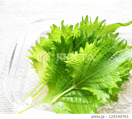 大葉（シソの葉）のクローズアップ 128140761