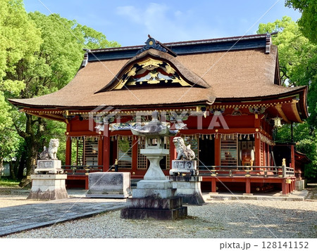 青空と新緑に彩られて佇む伊賀八幡宮の拝殿〈愛知県岡崎市〉 128141152