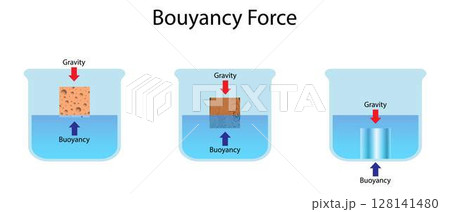Illustration of buoyancy force and gravity acting on different materials: sponge, wood, and metal, showing how objects float, sink, or partially submerge in water Illustration of buoyancy force and gravity acting on different materials: sponge, wood, and metal, showing how objects float, sink, or partially submerge in water 128141480