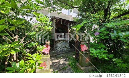 於岩稲荷田宮神社稲荷社 128141842