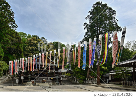 日牟禮八幡宮 鯉幟(こいのぼり) 日牟禮八幡宮 鯉幟(こいのぼり) 128142020