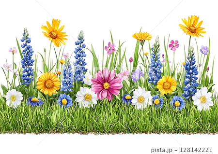 Vibrant Flower Meadow with Colorful Blossoms and Lush Green Grass in Summer Sunshine 128142221