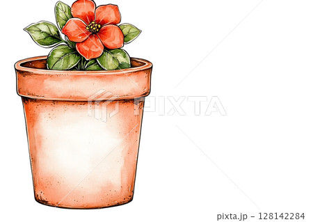 Delicate Orange Flower in Terracotta Pot with Green Leaves on White Background 128142284