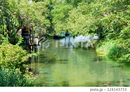 <安曇野>大王わさび農場の水車と美しい小川の絶景 <安曇野>大王わさび農場の水車と美しい小川の絶景 128143733