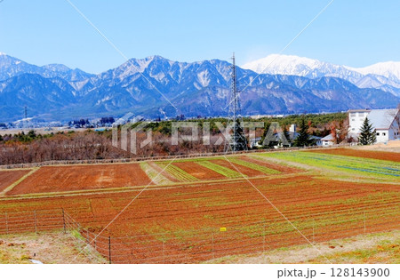 3月の信濃大町からの北アルプス　　　信州の山々　　　信州の風景 128143900