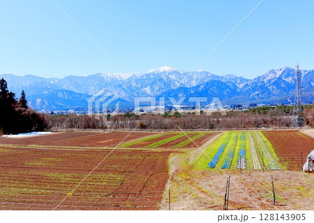 3月の信濃大町からの北アルプス　　　信州の山々　　　信州の風景 128143905