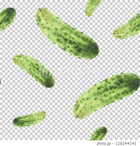Watercolor seamless pattern of cucumber. Green vegetable hand painted illustration of prickly gherkin pickles harvest. Clipart for canned vegetarian food label, kitchen decor. Isolated from background Watercolor seamless pattern of cucumber. Green vegetable hand painted illustration of prickly gherkin pickles harvest. Clipart for canned vegetarian food label, kitchen decor. Isolated from background 128144141