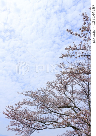 春の信州真田地域 信州の風景 春の信州真田地域 信州の風景 128144267
