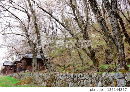 春の信州真田地域 信州の風景 春の信州真田地域 信州の風景 128144287