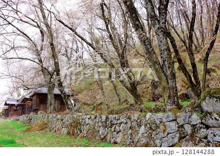 春の信州真田地域 信州の風景 春の信州真田地域 信州の風景 128144288