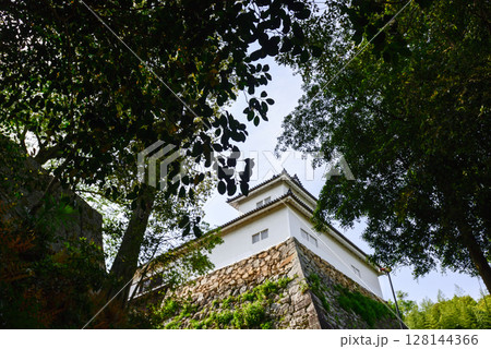 彦根城　天秤櫓 128144366