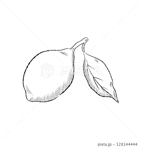 Cartoon Lemon With Single Leaf Vector Illustration Cartoon Lemon With Single Leaf Vector Illustration 128144444