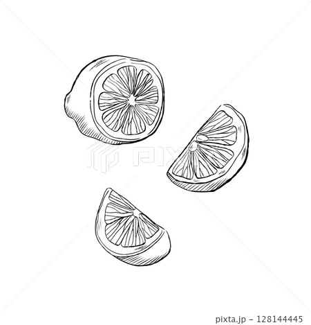 Three Half-Cut Lemons Side View Vector Illustration Three Half-Cut Lemons Side View Vector Illustration 128144445