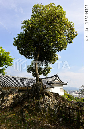 彦根城 天守 彦根城 天守 128144598