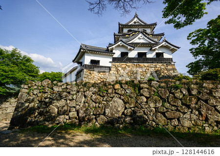 彦根城　天守 128144616