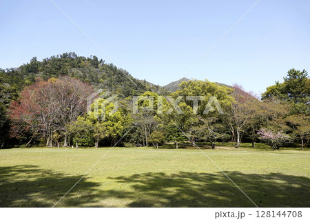 出雲大社 東側に広がる芝と樹々が美しい広場 128144708