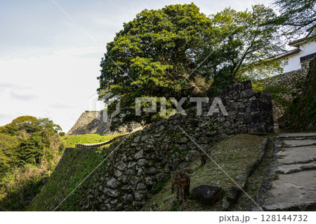 彦根城 城壁(石垣) 彦根城 城壁(石垣) 128144732