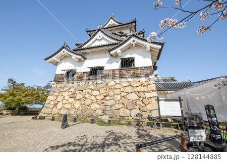 滋賀県彦根市 桜の花に彩られる国宝彦根城天守 滋賀県彦根市 桜の花に彩られる国宝彦根城天守 128144885