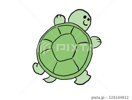 かわいくてシュールな亀さん 128144912