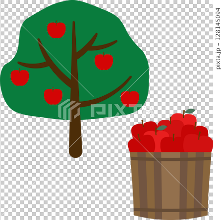 リンゴの果樹園のイラスト素材セット 128145094