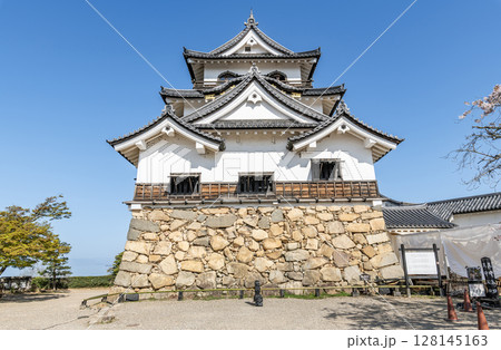 滋賀県彦根市　快晴の彦根城天守 128145163