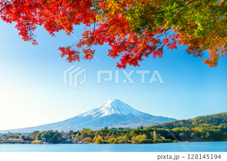 富士山と河口湖の紅葉 富士山と河口湖の紅葉 128145194