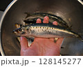 新鮮な鰯 128145277