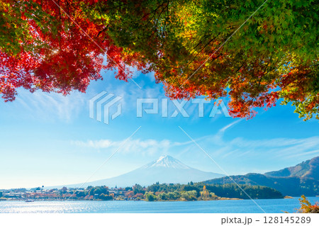 富士山と河口湖の紅葉 128145289