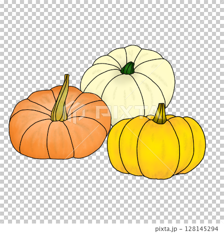 Autumnal pumpkin hand-drawn illustration 128145294