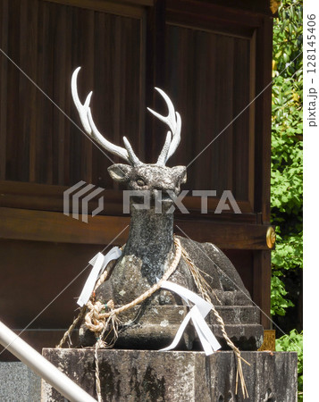 立木神社 狛鹿(神鹿) 立木神社 狛鹿(神鹿) 128145406