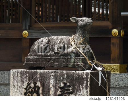 立木神社 狛鹿(神鹿) 立木神社 狛鹿(神鹿) 128145408