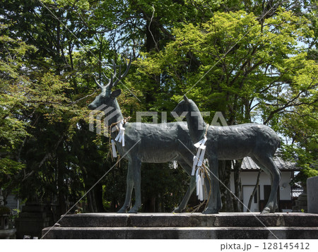 立木神社　神鹿 128145412