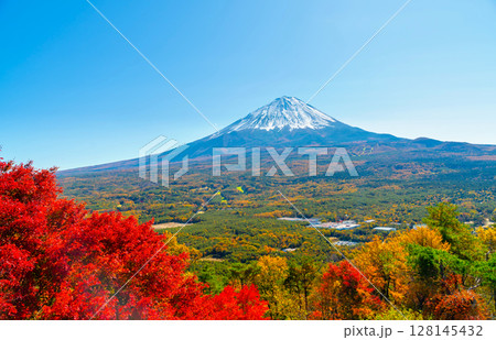 秋の富士山と紅葉台 128145432