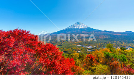 秋の富士山と紅葉台 秋の富士山と紅葉台 128145433