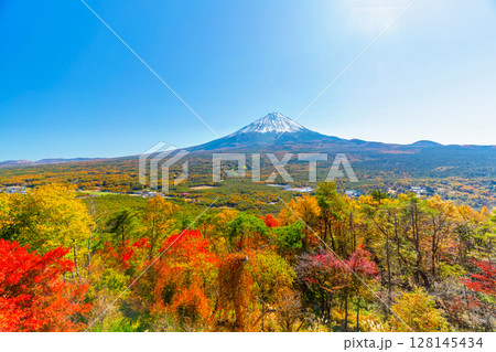 秋の富士山と紅葉台 秋の富士山と紅葉台 128145434