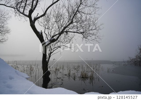 氷張る余呉湖の冬景色 氷張る余呉湖の冬景色 128145527