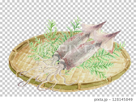 水彩で描いたザルにシンプルなスルメイカのイラスト素材【手描き】白バック 透過背景 コピースペースあり 水彩で描いたザルにシンプルなスルメイカのイラスト素材【手描き】白バック 透過背景 コピースペースあり 128145849